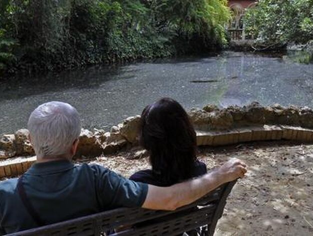 Una pareja contempla el agua del estanque convertido en charca.

Foto: Juan Carlos V&aacute;zquez
