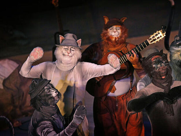 La comparsa de Los Carapapa 'Los gatos callejeros, en plena actuaci&oacute;n en el Gran Teatro Falla.  

Foto: Julio Gonzalez