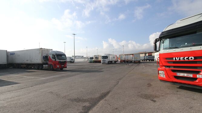 Varios camiones esperan su turno para ser atendidos en las inmediaciones del Puesto de Inspección Fronterizo (PIF), ayer por la mañana.