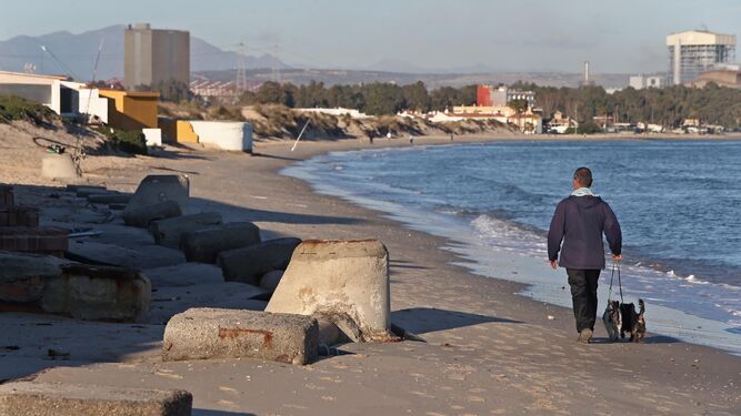 Un ciudadano pasea con sus perros por la playa del Rinconcillo, ayer por la tarde.