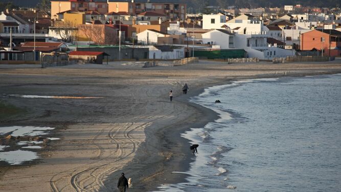 La orilla de la playa de El Rinconcillo, con las marcas de los tractores de limpieza y gente caminando.