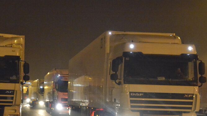 Camiones esperan su turno para salir del puerto de Algeciras, anoche.