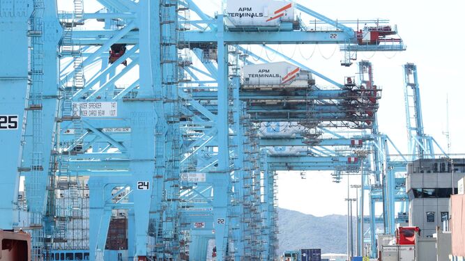 Actividad de carga y descarga de mercancías en APM Terminals Algeciras.