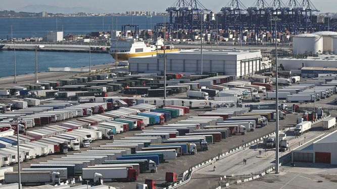 Camiones en el puerto de Algeciras en la terminal de tráfico pesado.