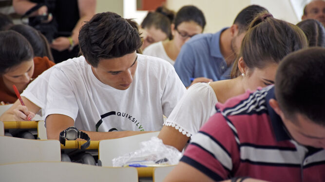 Varios alumnos realizan concentrados uno de los exámenes de selectividad en la Facultad de Empresariales de Cádiz.
