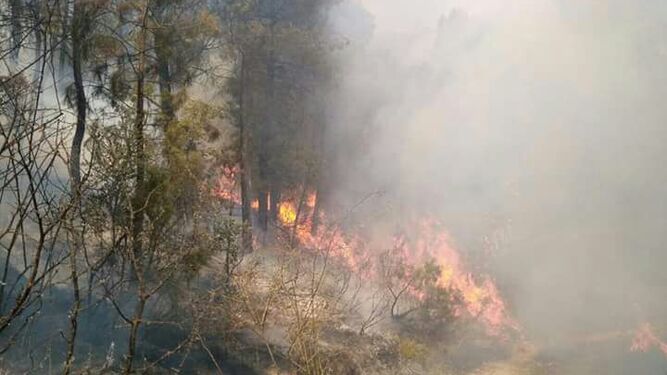 Incendio en Yeste