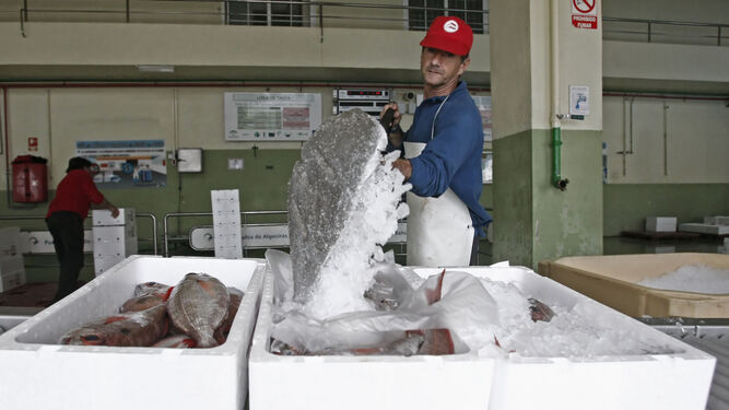Un trabajador de la lonja de Tarifa cubre las capturas con hielo, en foto de archivo.