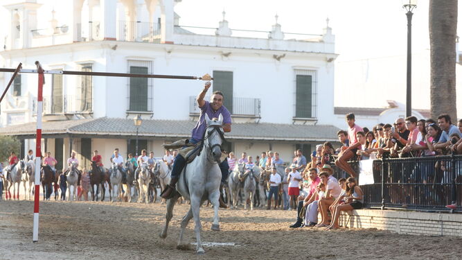 Distintos momentos de la genuina carrera de cintas a caballo en El Rocío.