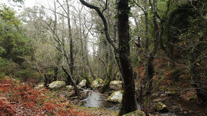 El arroyo de Botafuegos, parte del camino de La Trocha.