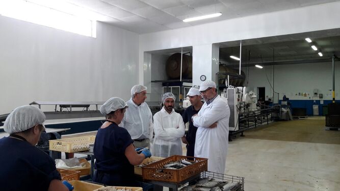 Miranda y personal de la conservera observan como una trabajadora trata el producto, ayer en Tarifa.