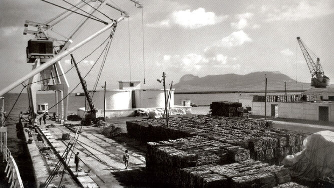 Corcho en planchas esperando para ser embarcado en el muelle de la Galera. Año 1966.