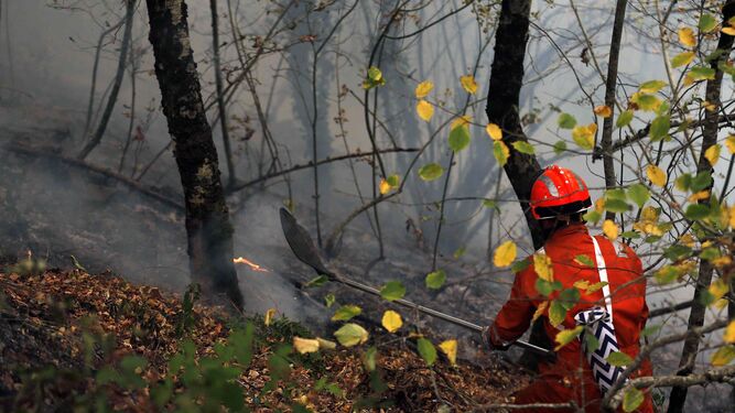 Un agente trabaja en la extinción de las llamas en Asturias