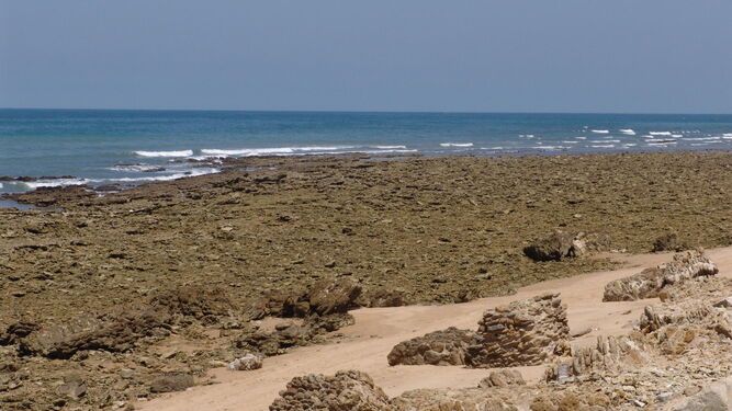 Imagen de la playa de Peginas, en Rota, donde han aparecido dos cuerpos.