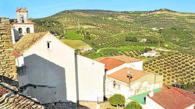 Olivares y campos de espárragos, vistos desde Torre Alháquime.