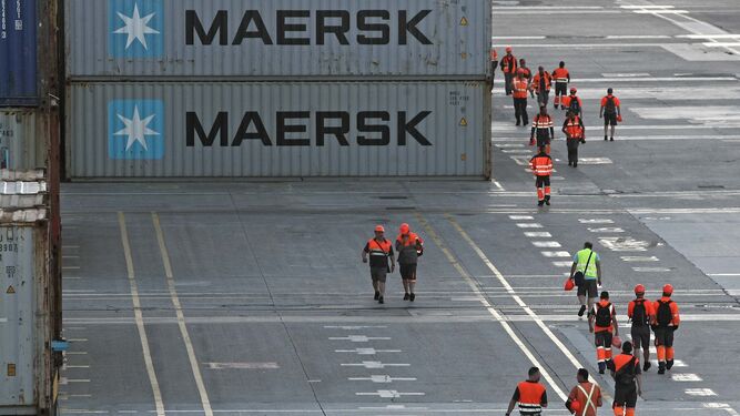 Estibadores en el puerto de Algeciras.