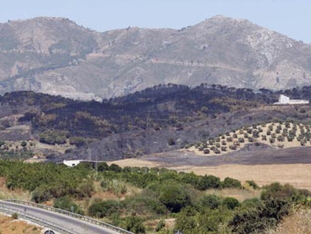 El incendio de Casarabonela ha calcinado 90 hect&aacute;reas, 70 de matorral y pinar y 20 de superficie agr&iacute;cola

Foto: Sergio Camacho