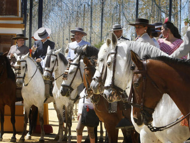 Protagonistas. Los jinetes y sus caballos fueron ayer el principal reclamo para los jerezanos y turistas que pasearon por el Gonz&aacute;lez Hontoria.

Foto: Pascual