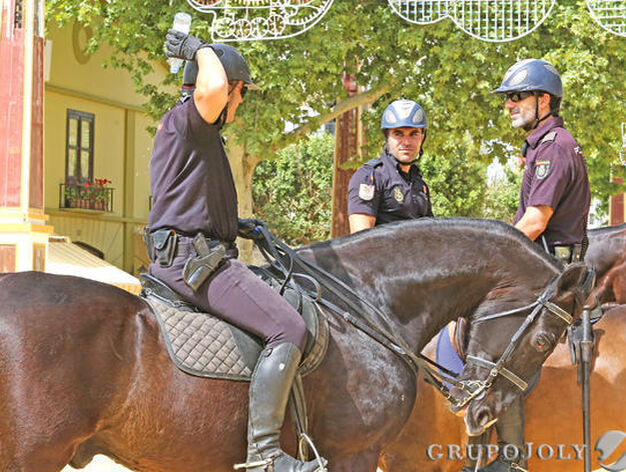 Un agente de la Polic&iacute;a Nacional a caballo se echa agua ante la mirada de sus compa&ntilde;eros.

Foto: Pascual