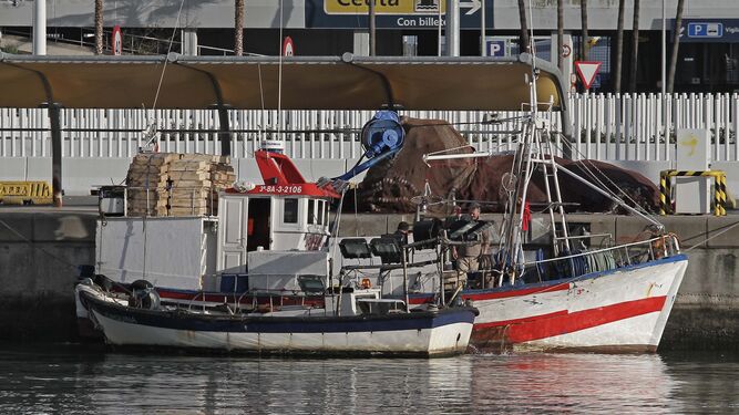 Barcos pesqueros atracados en el puerto de Algeciras.