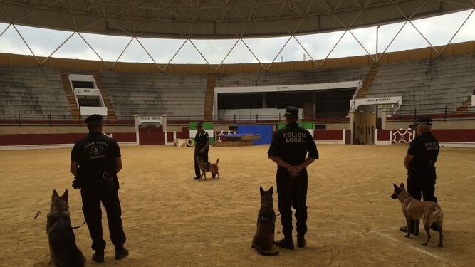 Las clases de adiestramiento de perros celebradas en La Montera.