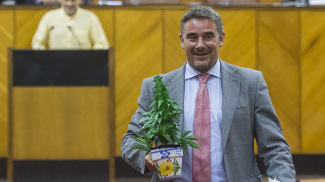 Moreno Yagüe, de Podemos, con una planta de Cannabis