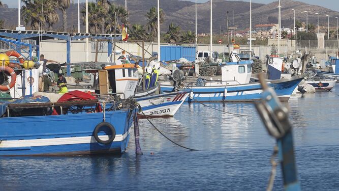 Buques pesqueros atracados en el puerto de La Atunara, en La Línea.