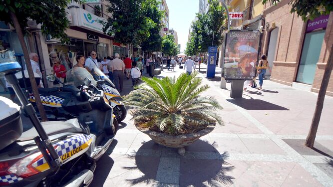 Algunos de los maceteros para prevenir ataques por atropello que ha instalado el Ayuntamiento de Algeciras: en la calle Ancha cerca de la parada de taxis (1), en la entrada a la Plaza Alta junto a Mango (2), en la calle Convento frente a Cajasur (3) y en la Plaza Alta al lado del Casino (4).