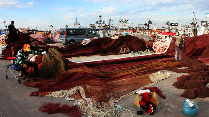 Pesqueros del cerco en la localidad de Isla Cristina.