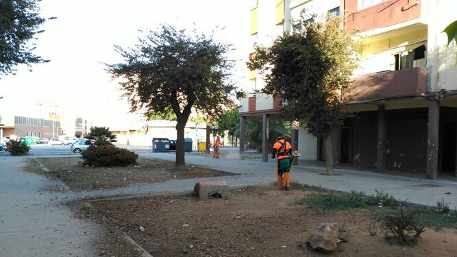 Dos operarios eliminan malas hierbas en una plaza de La Línea.