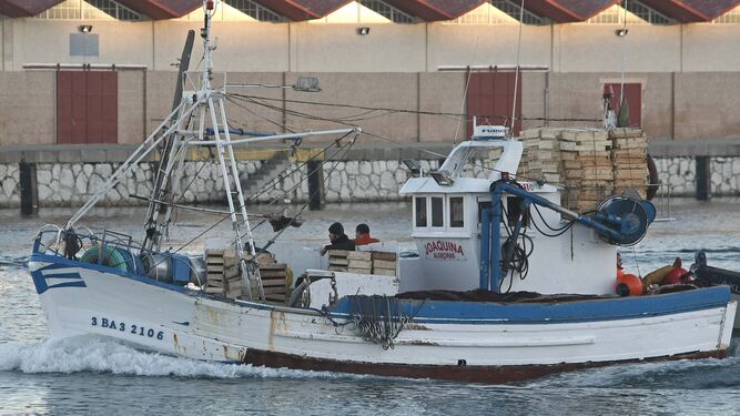 Dos pescadores navegan por la dársena pesquera de Algeciras a bordo del 'Joaquina'.