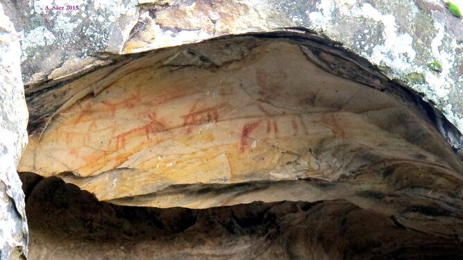 Pinturas rupestres en la Cueva del Pajarraco, en el término municipal de Los Barrios.