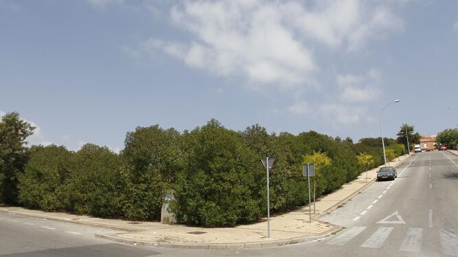 El terreno de la calle Oceanía, en Algeciras, donde se construirá el colegio de Pajarete.