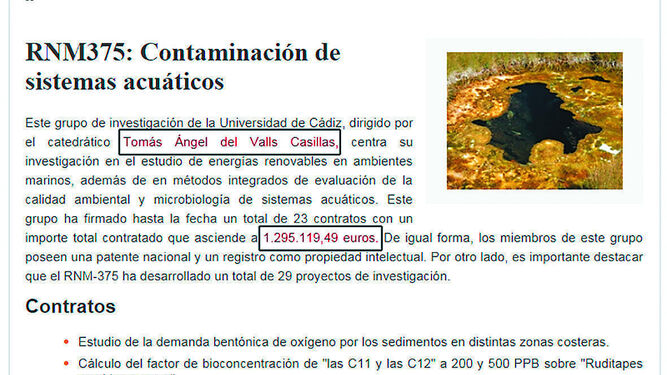Web de su grupo de investigación de la Universidad de Cádiz.