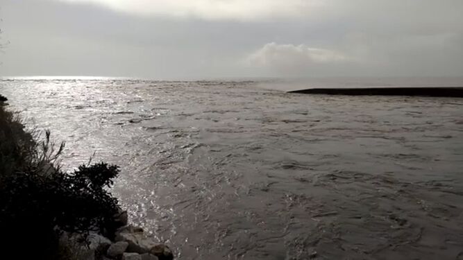 El Guadiaro fluye libre hacia el mar tras la lluvia