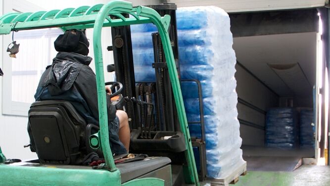 Un empleado de Procubitos carga un palé con bolsas de hielo.