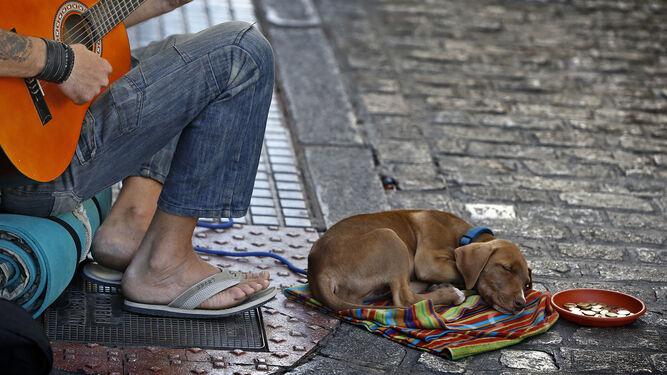 Una persona pide limosna en una calle junto a su perro