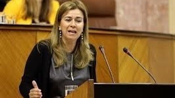 La parlamentaria gaditana Teresa Ruiz Sillero.