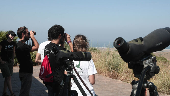 Voluntarios y técnicos de Migres, en una jornada de avistamiento de aves en Tarifa.