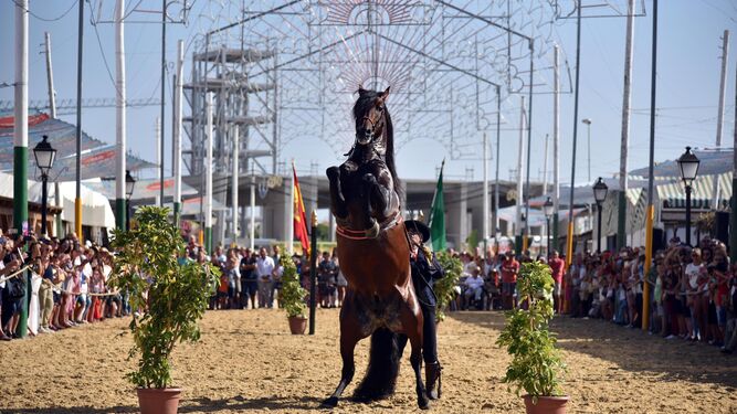 El espectáculo 'Cómo bailan los caballos andaluces', ayer en el recinto ferial de Tarifa.