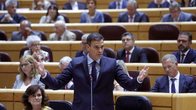 Pedro Sánchez , durante un intervención en el Senado.