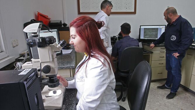 Una joven trabaja con un microscopio en uno de los laboratorios de Acerinox.
