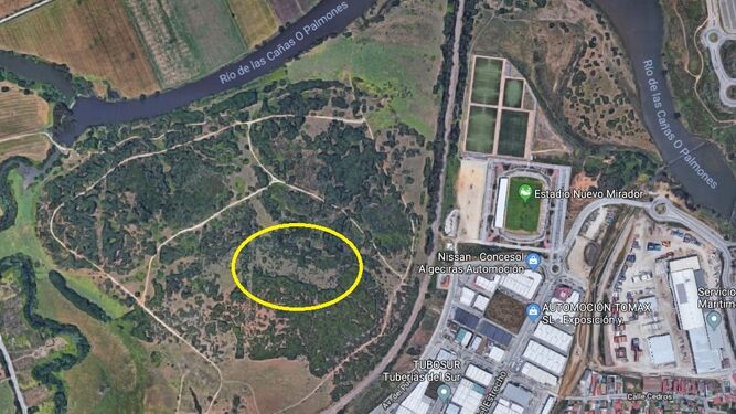 El lugar en el que irá ubicado el parque, con un círculo amarillo.