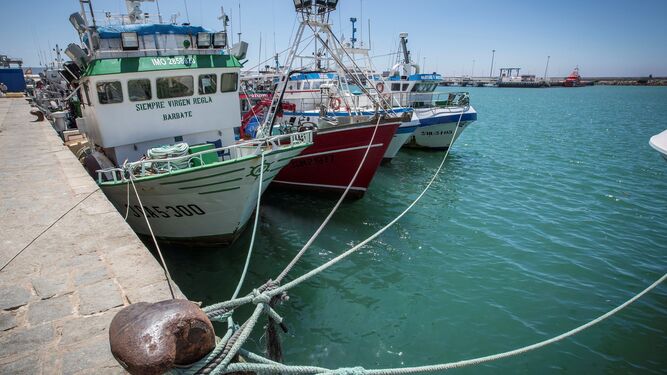 Barcos amarrados al puerto de Barbate desde que expiró el acuerdo de pesca con Marruecos.