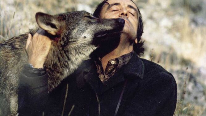 Félix Rodríguez de la Fuente con un lobo en una imagen de 'El Hombre y la Tierra'.