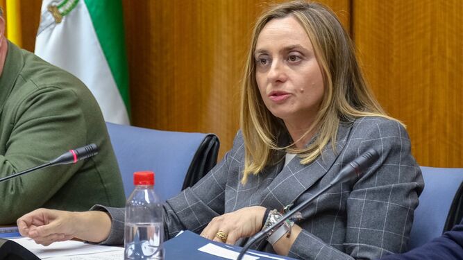 La consejera de Fomento del Gobierno andaluz, Marifrán Carazo, en el Parlamento.
