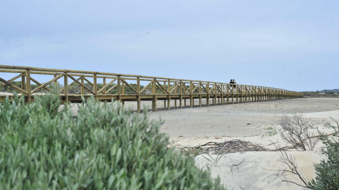 Una de las pasarelas que se han colocado en el sendero de la Punta del Boquerón.