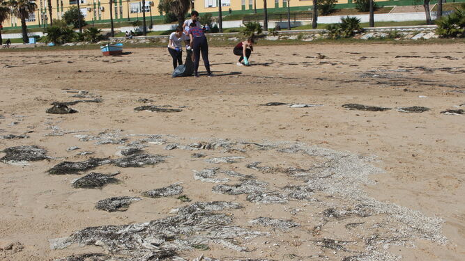 Toallitas acumuladas en la Playa de La Cachucha de Puerto Real