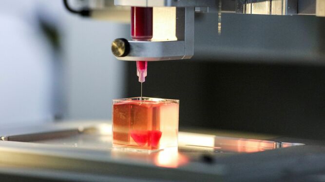 Una impresora 3D imprime un corazón con tejido humano en la Universidad de Tel Aviv.
