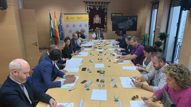 La Comisión Provincial de PFEA reunida en la Subdelegación del Gobierno en Cádiz.