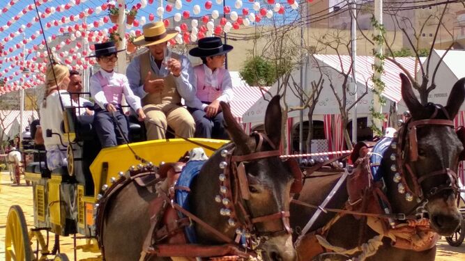 Hoy se ha celebrado la primera jornada del paseo de caballos en la Feria de la Manzanilla.